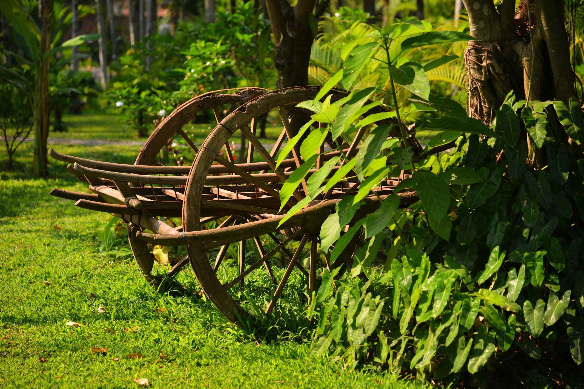 Maison Polanka Siem Reap Luaran gambar